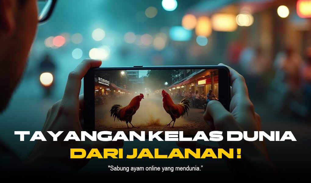 Mengenal Ayam Bangkok: Raja Sabung Ayam SV388 Mengenal Ayam Bangkok: Raja Sabung Ayam SV388