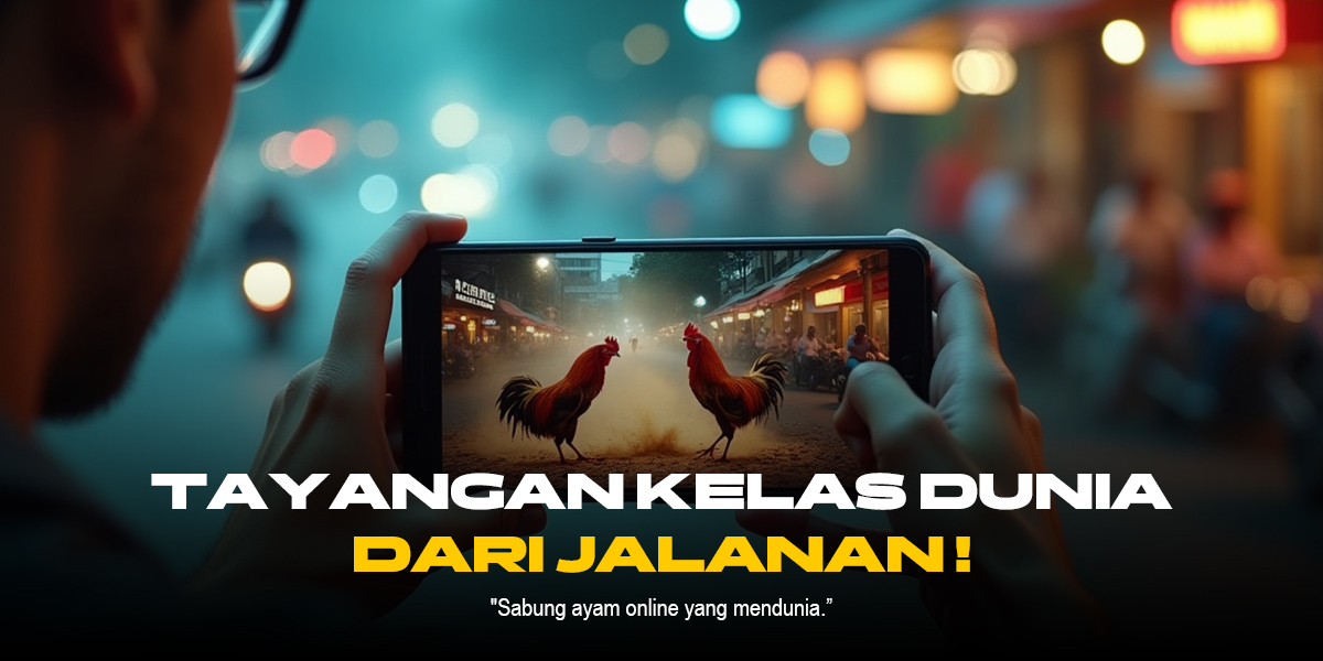 Mengenal Ayam Bangkok: Raja Sabung Ayam SV388