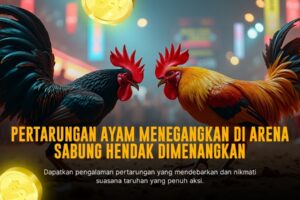 Mengenal Lebih Dalam Genre Sabung Ayam Online SV388