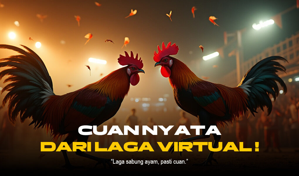 Mengenal Dunia Sabung Ayam: Sejarah, Budaya, dan Kontroversi