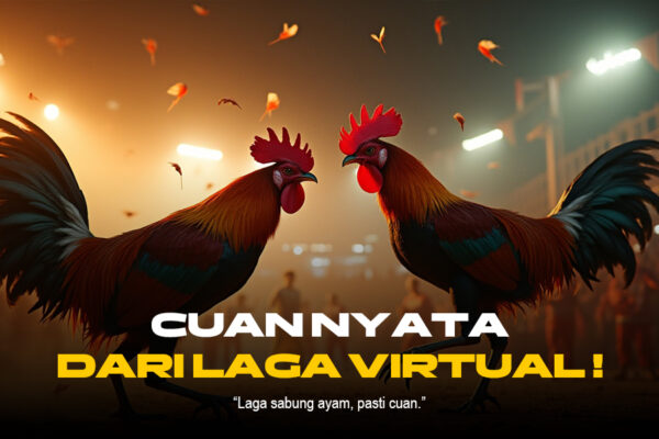 Mengenal Dunia Sabung Ayam: Sejarah, Budaya, dan Kontroversi