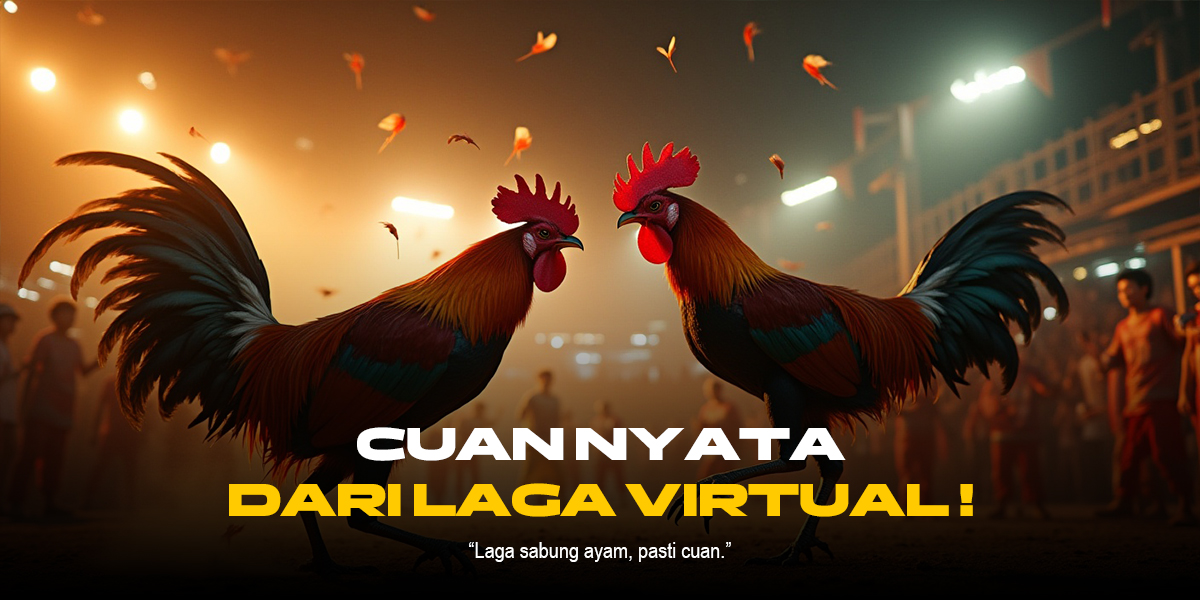 Mengenal Dunia Sabung Ayam: Sejarah, Budaya, dan Kontroversi