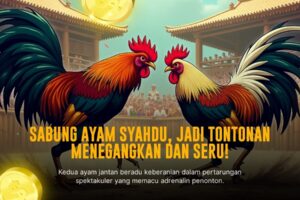 Mengenal Ayam Bangkok: Raja Sabung Ayam dengan Odds Terbaik di SV388