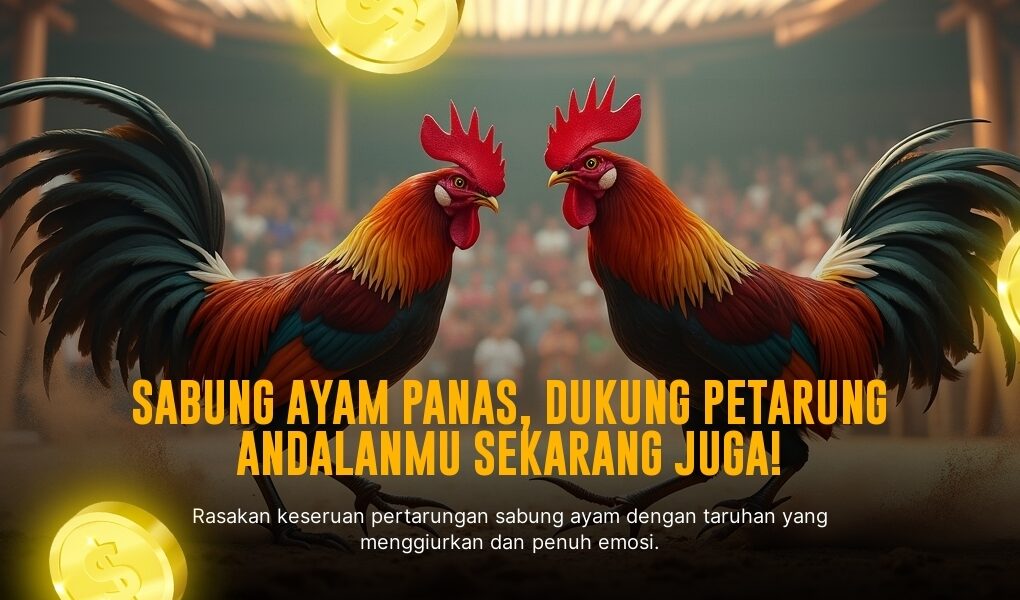 Rahasia S128: Jenis Ayam Sabung yang Jadi Primadona