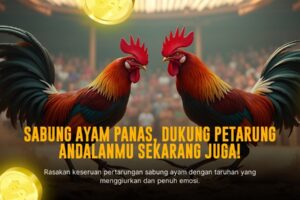 Rahasia S128: Jenis Ayam Sabung yang Jadi Primadona