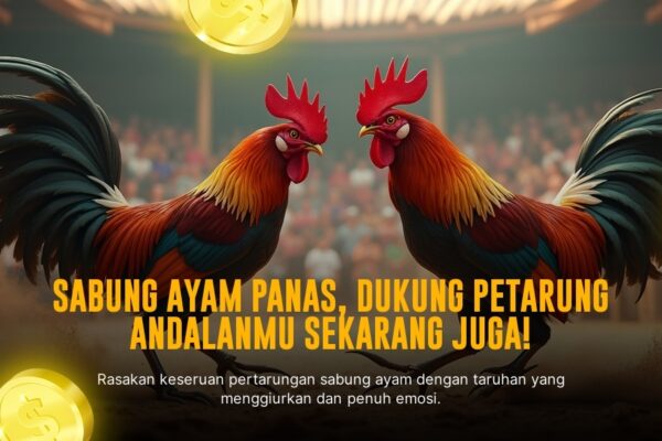 Rahasia S128: Jenis Ayam Sabung yang Jadi Primadona